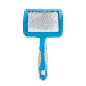 dog slicker brush 