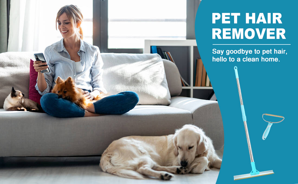 Pet Hair Removal