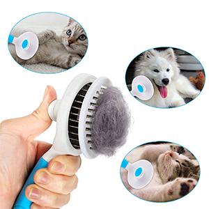 cat brush