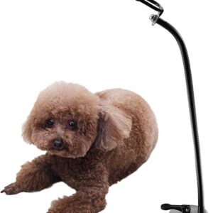 Hair Dryer Stand Holder, Adjustable Stainless Steel Hair Dryer Rack Hands Free Home Salon Tabletop Device Stand Removable Suction Cup Stand for Dog Cat Grooming Table,Black