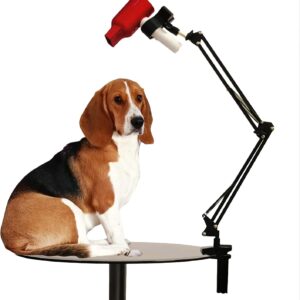 Joycalte Dog Hair Dryer Stand Upgrade Metal Pet Grooming Table Hair Dryer Holder Hands Free Blow Dryer Holder, 360 Degrees Rotatable Lazy Hair Dryer Stand with Adjustable Clamp Mount