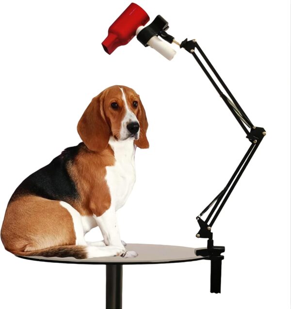 Joycalte Dog Hair Dryer Stand Upgrade Metal Pet Grooming Table Hair Dryer Holder Hands Free Blow Dryer Holder, 360 Degrees Rotatable Lazy Hair Dryer Stand with Adjustable Clamp Mount