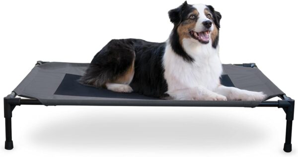 K&H Pet Products Elevated Cooling Outdoor Dog Bed Portable Raised Dog Cot Charcoal/Black Large 30 X 42 X 7 Inches